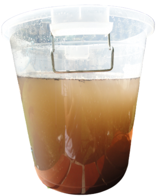 Home Filter VF100 Dirty Page